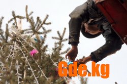 Столица Кыргызстана готовится к Новому году