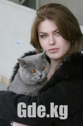 Кошачий Вернисаж