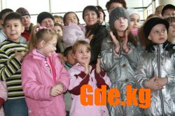 Кошачий Вернисаж