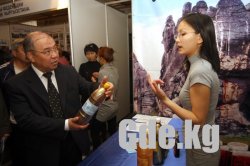Туризм и путешествия BITF-2009