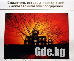День мира