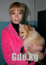 Содружество-2009