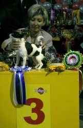 Содружество-2009