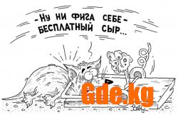 Юмор