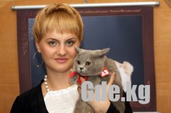 Кошкин Дом 2009