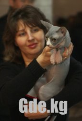 Кошкин Дом 2009