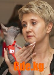 Кошкин Дом 2009