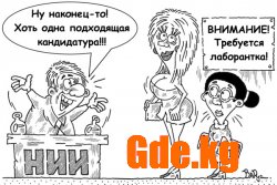 Юмор