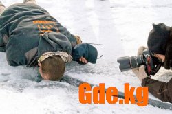 Дорогие фотоискатели, фотолюбители и фотопрофессионалы!