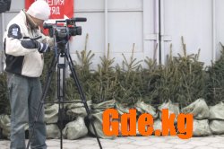 Ну, где же вы елочки?