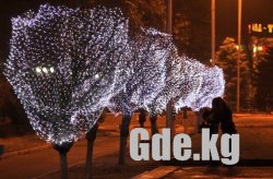 Ну-ка елочка, зажгись!