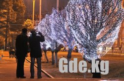 Ну-ка елочка, зажгись!