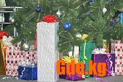 «Новогодний подарок» под елкой Дворца спорта 