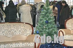 «Новогодний подарок» под елкой Дворца спорта 