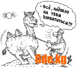 Юмор