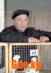 Очарование пернатых.