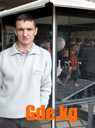 Очарование пернатых.