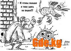 Юмор