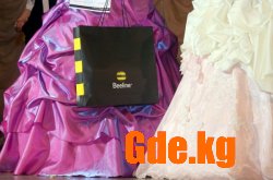 Beeline – партнер конкурса «Мисс Университет 2010»