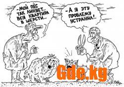Юмор