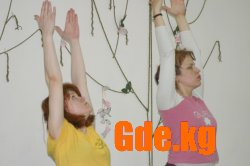 Йоги
