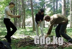 Лесные белки.