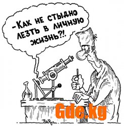 Юмор