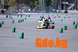Золотой картинг