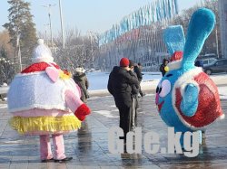 Новогоднее фото на память