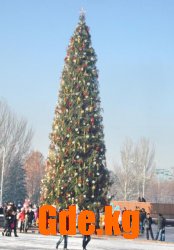 Новогоднее фото на память