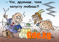 Юмор