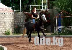 Конные прогулки