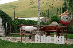 Конные прогулки