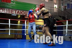 Красота женского бокса